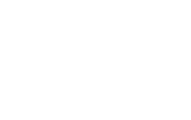 eSSL Logo